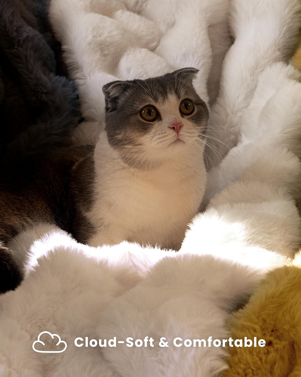 Ultra Soft Cozy Faux Fur Throw Blanket, Fuzzy Plush Thick Bubble Blanket, Luxury Fluffy Blanket for Couch, Sofa, Bedroom, and Living Room, 50x60 Inches, Cream White